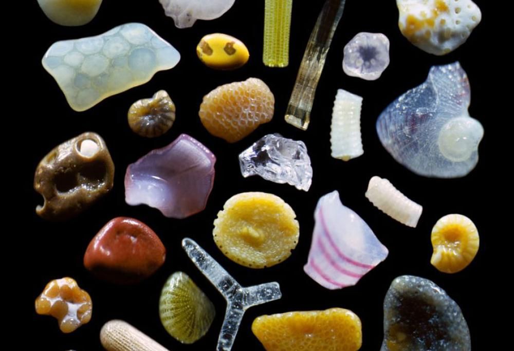 Hai mai visto la sabbia al microscopio? Rimarrai stupito!