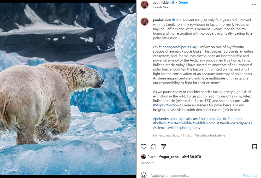 Paul Nicklen: il fotografo che immortala gli animali sofferenti per il cambio del clima