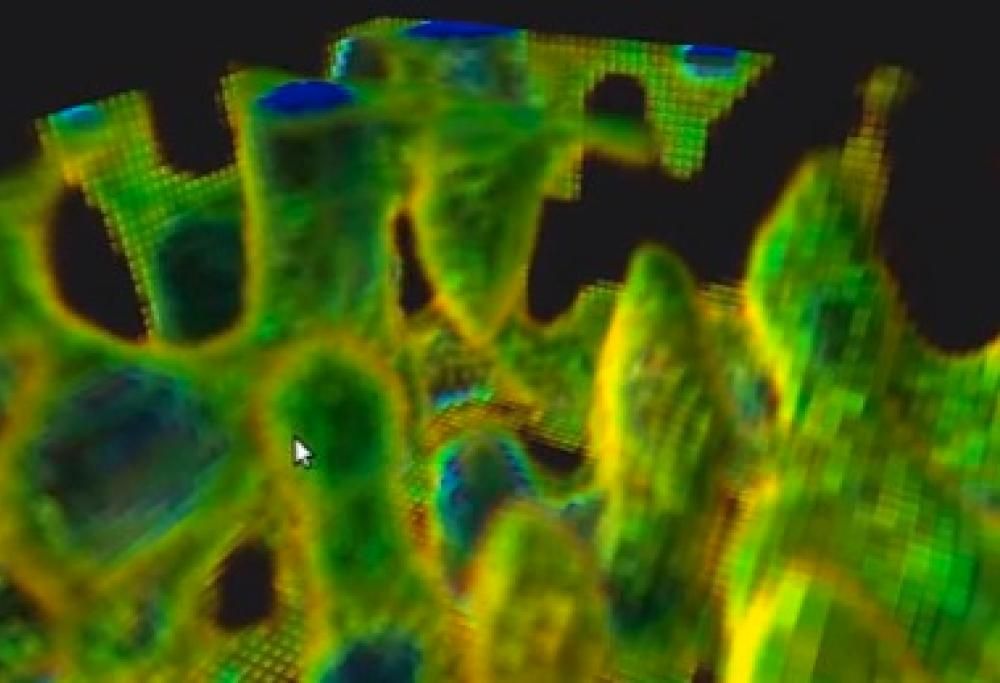 Arriva la mappa del Wi-Fi in 3d