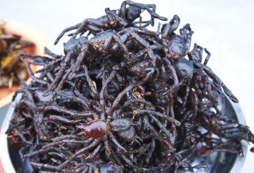 Cos’è il disgusto? Lo scoprirai guardando queste foto!