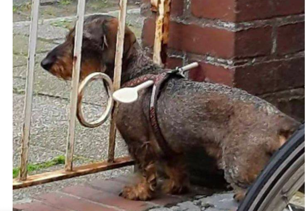 Le invenzioni casalinghe più belle (e strane) di sempre