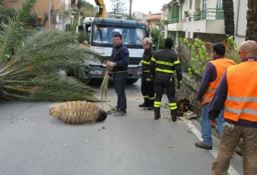 Le 3 peggiori bufale che hanno conquistato il web