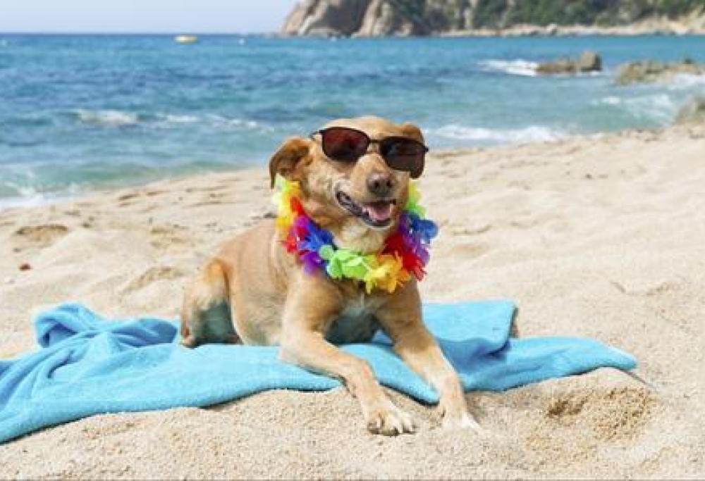 Che tempo farà a Ferragosto? Ecco le previsioni per l’Italia