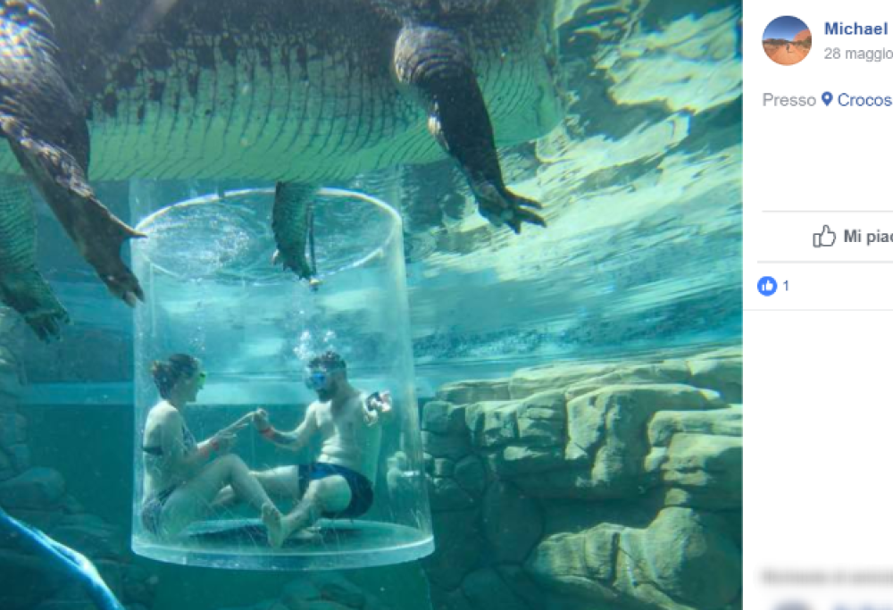 Proposta di matrimonio shock in mezzo ai coccodrilli