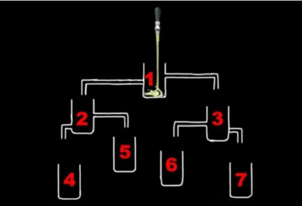 Quiz: osservate attentamente l’immagine, secondo voi quale bicchiere si riempirà per primo?