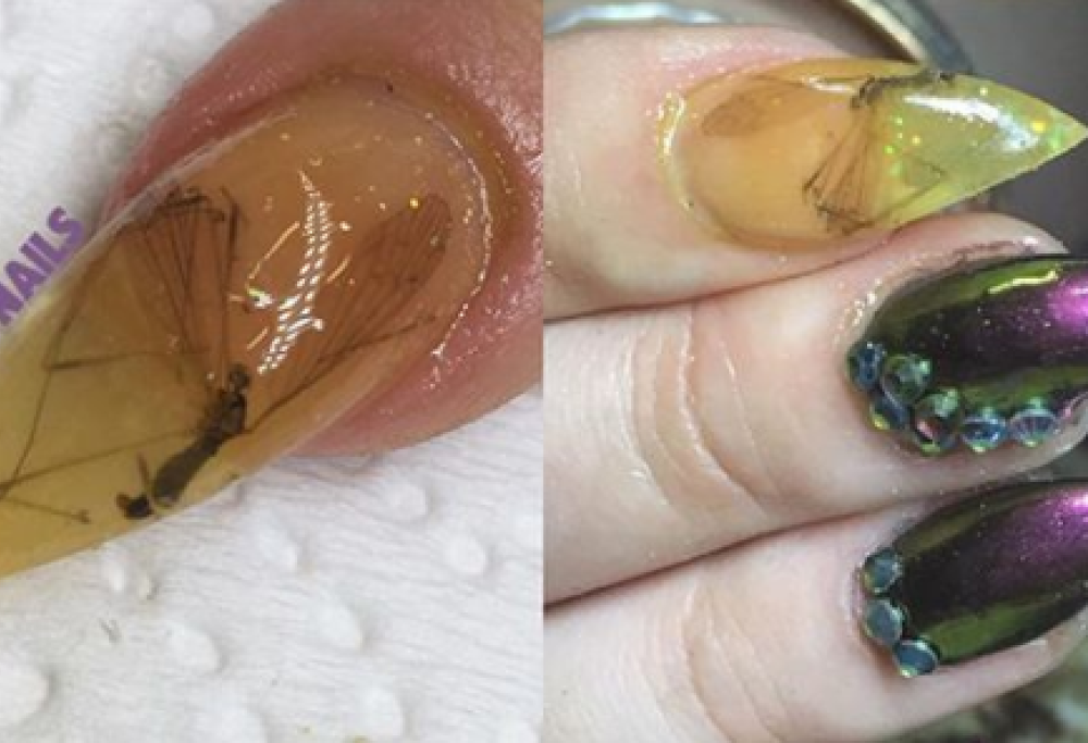 La Nail Art con insetti morti è la moda del momento