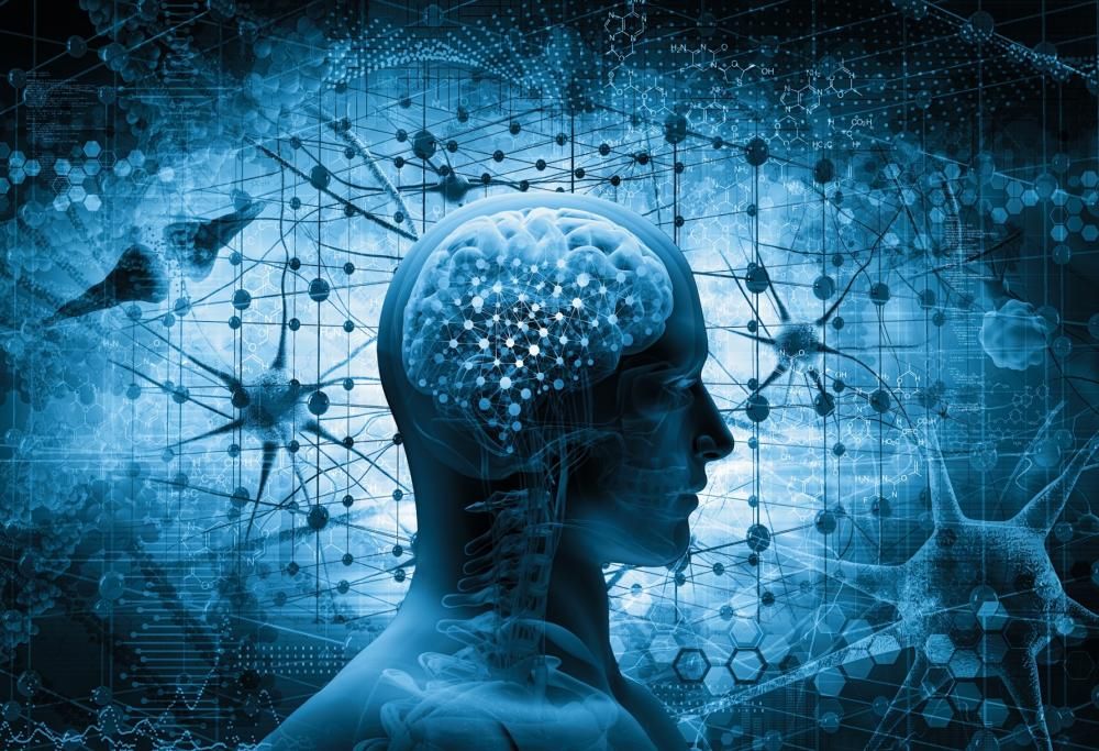Ecco perché alcuni di noi prediligono la ‘vita spericolata’
