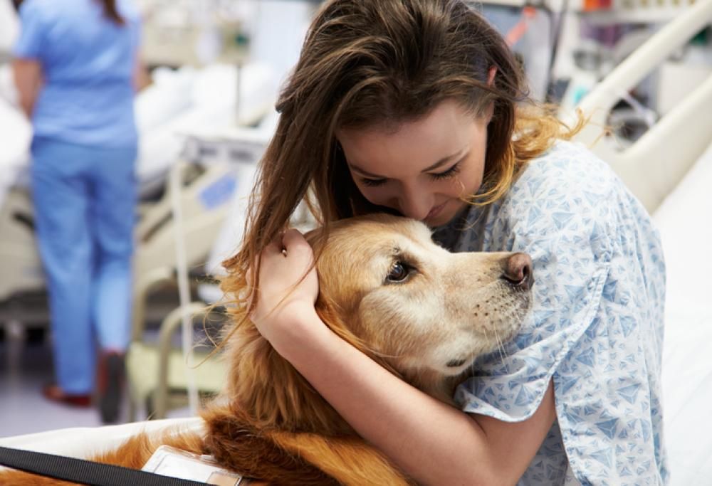 Empoli: cani e gatti possono entrare in ospedale a far compagnia ai padroni ricoverati