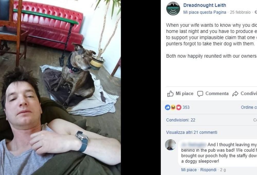 Cane dimenticato in un pub. Il proprietario dorme con lui sul pavimento