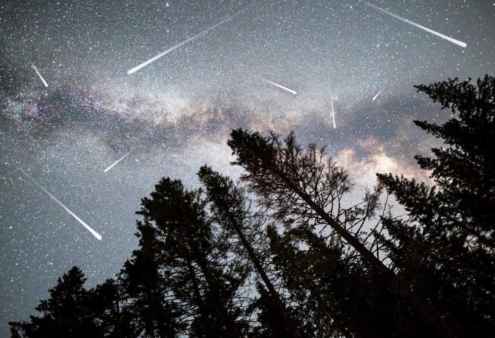 Questa è la Settimana delle Stelle Cadenti: ecco quando guardare il cielo