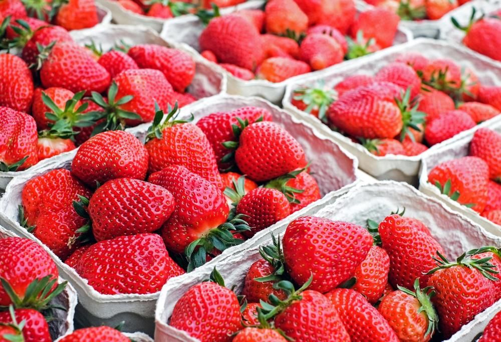 Il gusto delle fragole è peggiorato: ecco cosa rivela una ricerca