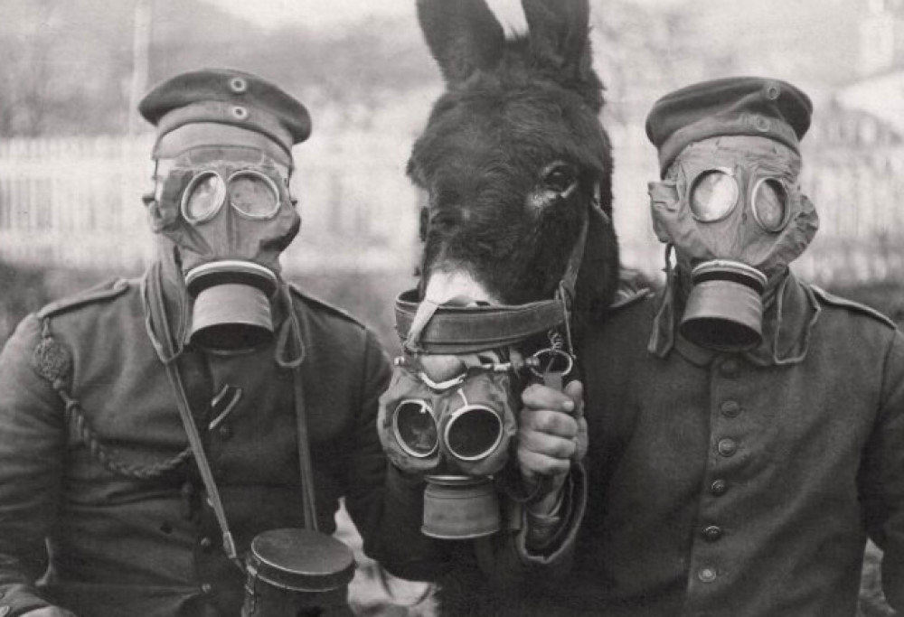 8 foto del passato che immortalano momenti unici