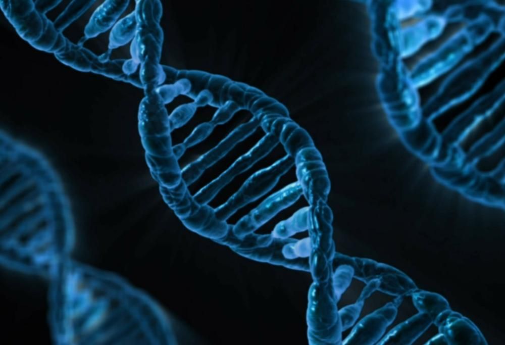 Scienza, scoperto il gene che causa la morte improvvisa degli atleti
