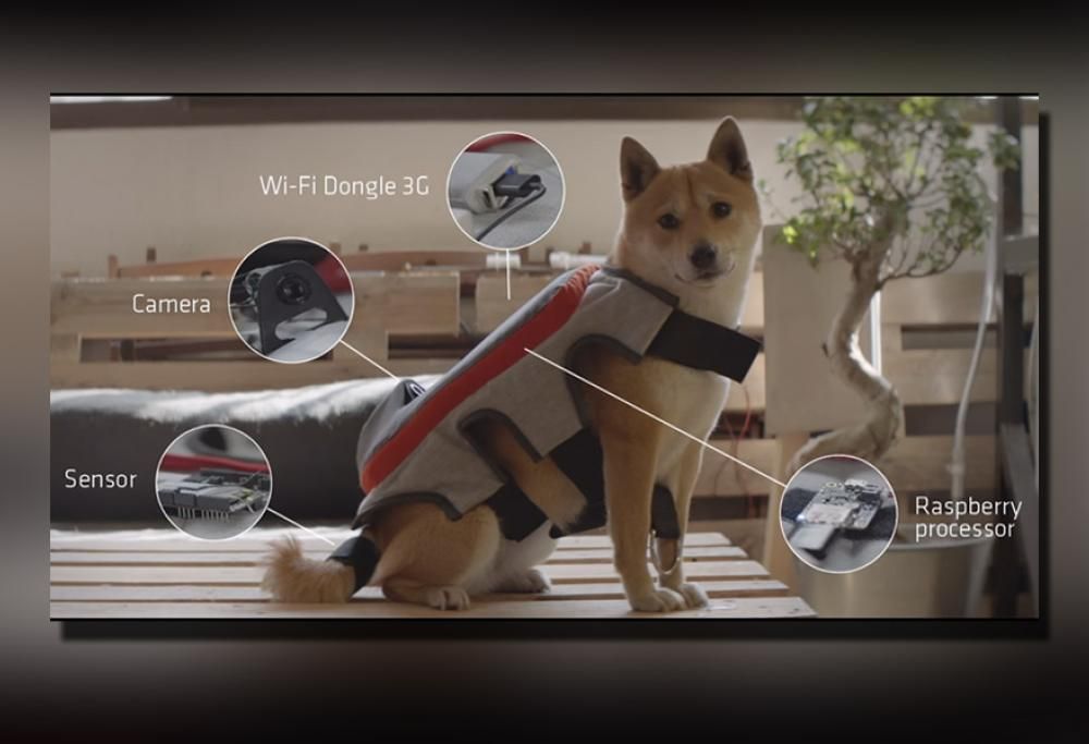 ADESSO ANCHE IL TUO CANE PUO’ FARE FOTO DA CONDIVIDERE SUI SOCIAL!