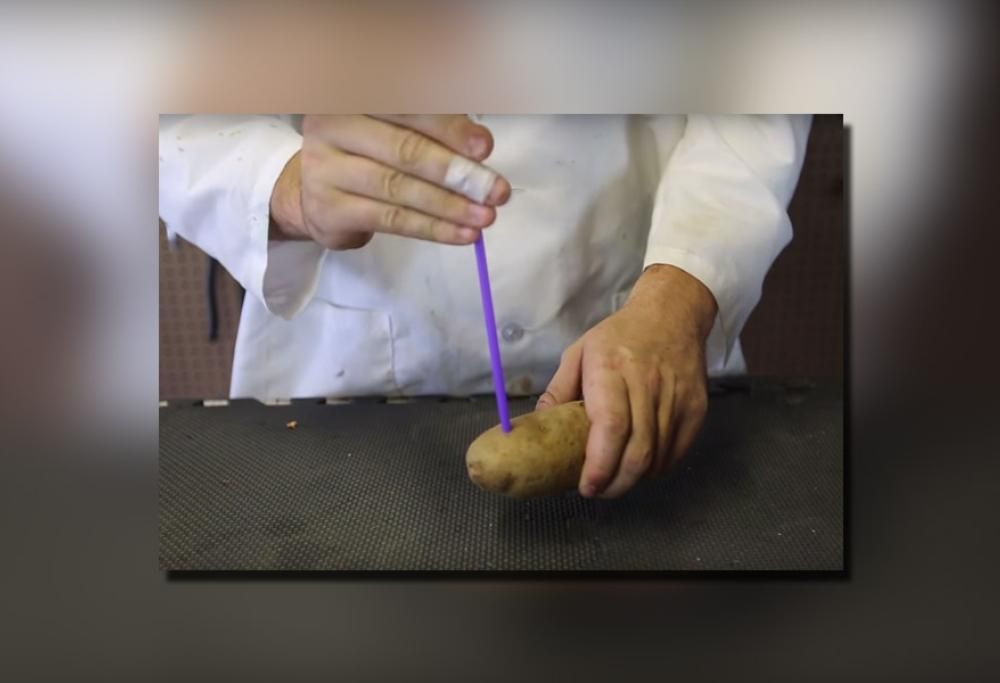 5 ESPERIMENTI SEMPLICI CHE PUOI FARE A CASA!