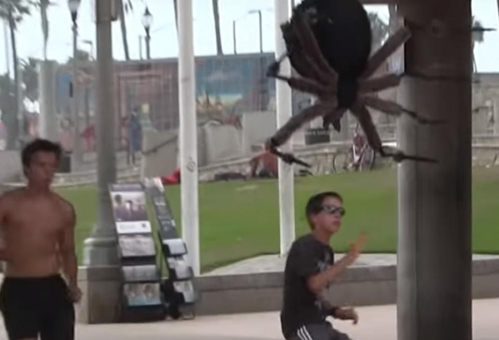 RAGNO GIGANTE TERRORIZZA LA CITTÀ!