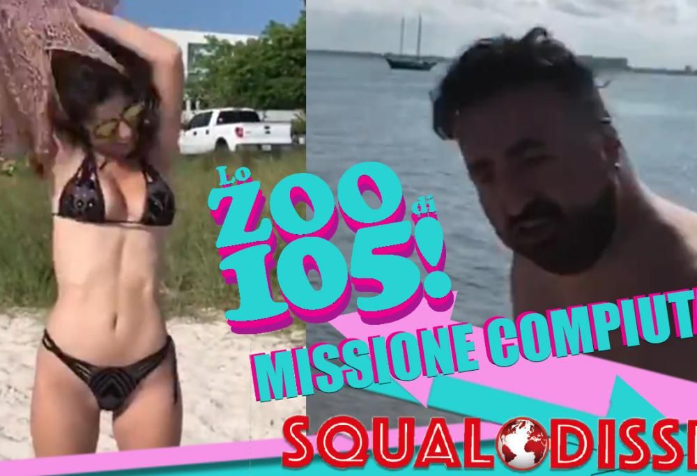 SQUALODISSEA: Missione compiuta