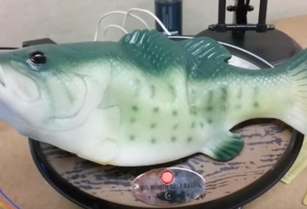 QUESTO PESCE TI CATAPULTERA’ DEFINITIVAMENTE NEL FUTURO!