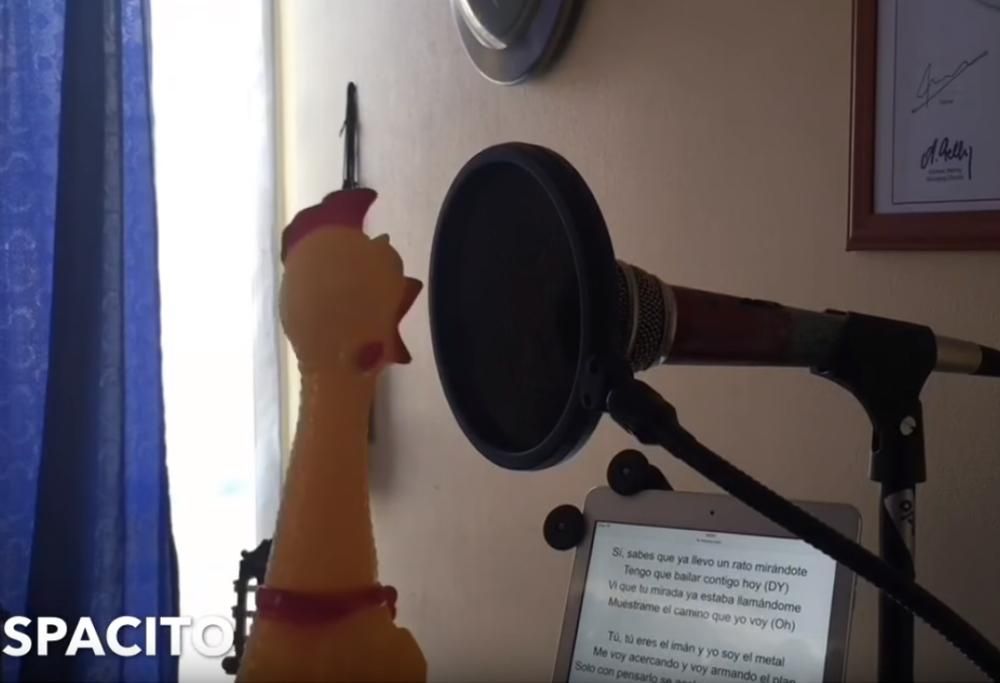 DESPACITO: NON SIAMO ANCORA LIBERI – ECCO LA VERSIONE POLLO DI PLASTICA
