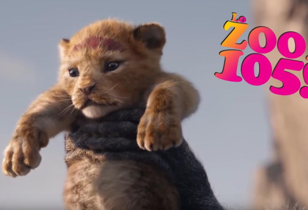IL RE LEONE: Il Trailer della prossima uscita al cinema IN LIVE ACTION