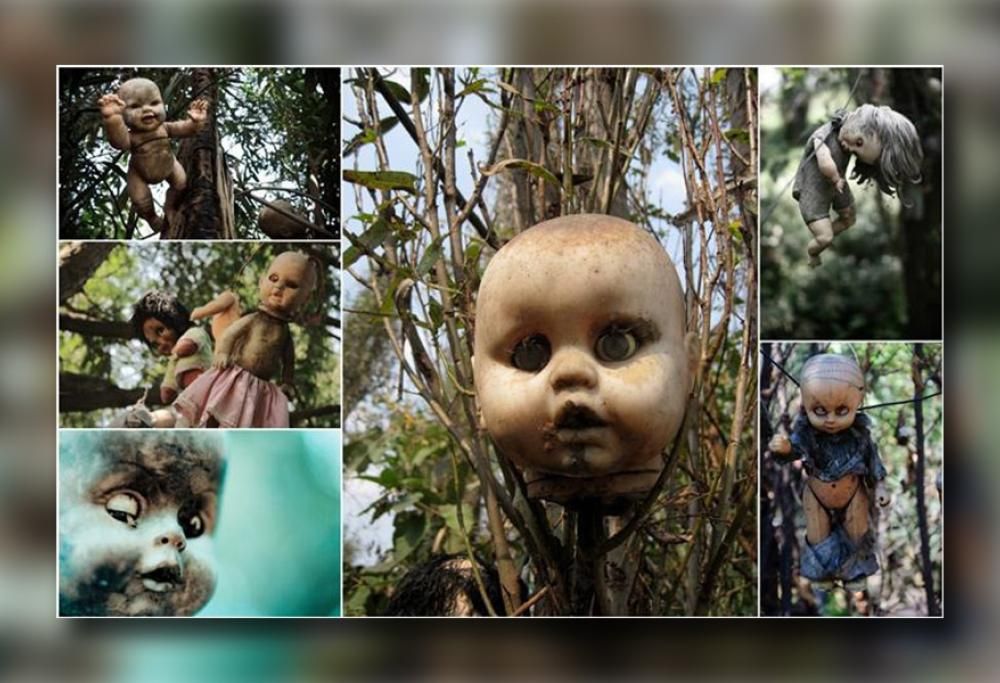 ” Isla de las Munecas” dal Messico ecco l’isola delle bambole