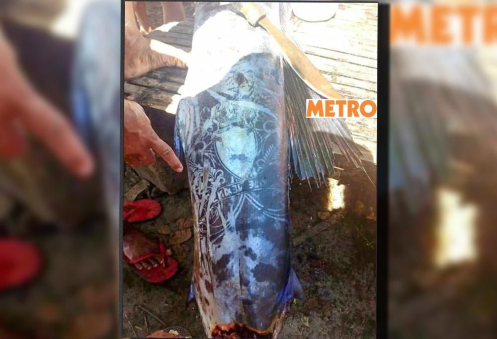 IL MISTERO DEL PESCE CON LA PELLE TATUATA