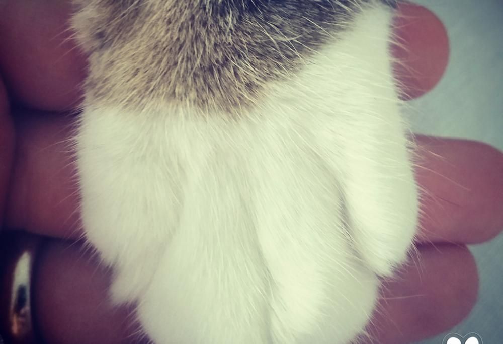 “Saremo insieme per la vita!”