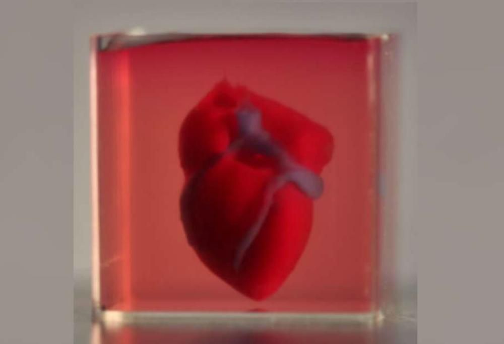 Gli scienziati hanno creato il primo cuore con la stampante 3D utilizzando vere cellule!