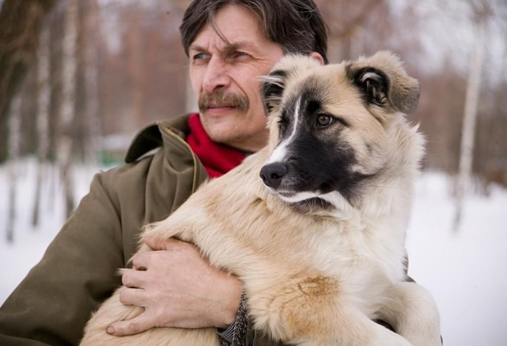 I cani assomigliano ai rispettivi umani?