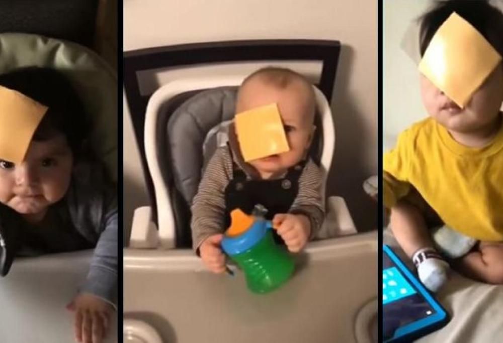 Nuova tendenza dal Web: lanciare fette di formaggio in faccia al proprio figlio! Perchè?