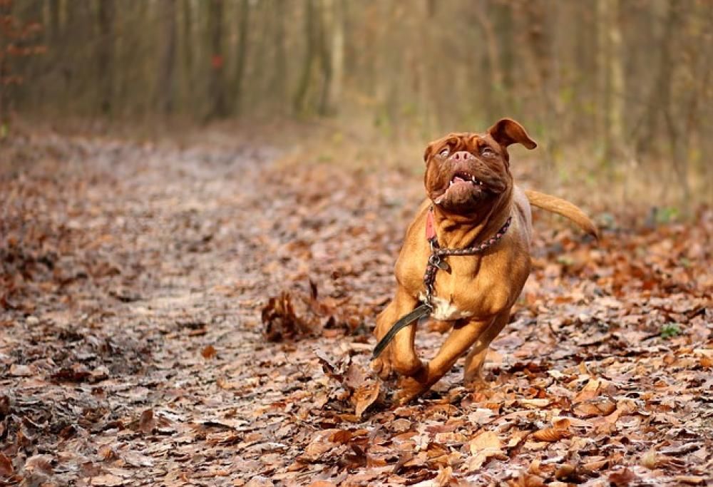 Quell’attimo di follia!