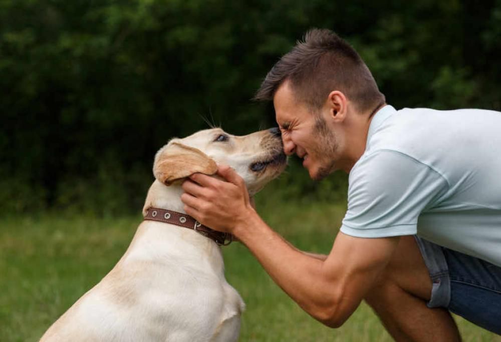 Vivere con un cane allunga la vita: ecco cosa rivela una ricerca