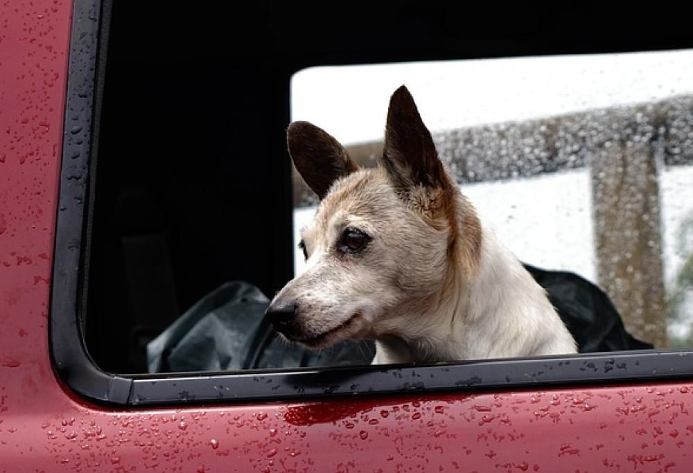 Sì, viaggiare… evitando le buche più dure!