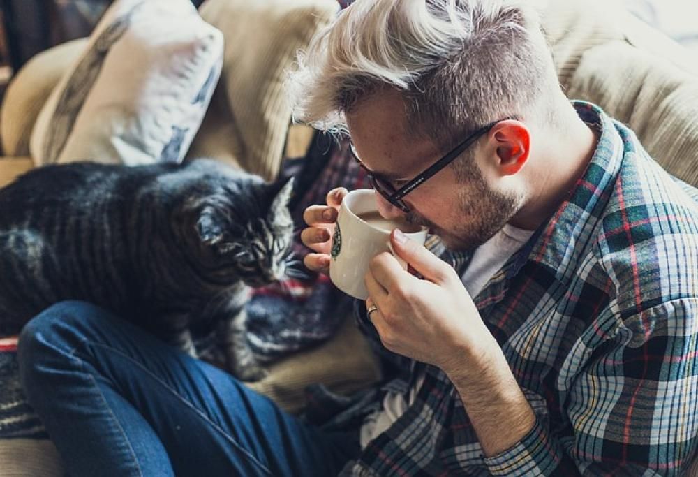 Il gatto ti allunga la vita!