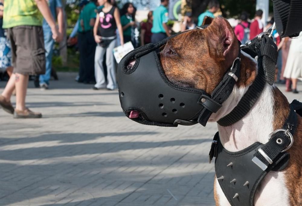 Le regole per entrare in società