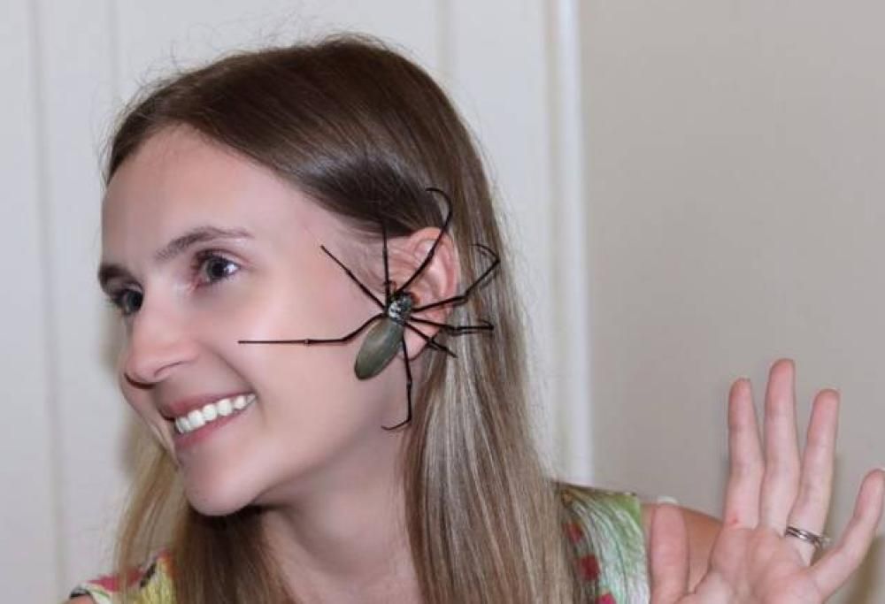 Donna si rilassa grazie ai ragni velenosi che strisciano sul suo viso!