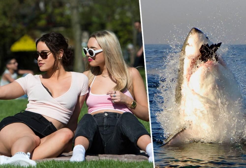 È confermato: i selfie sono cinque volte più letali degli squali!