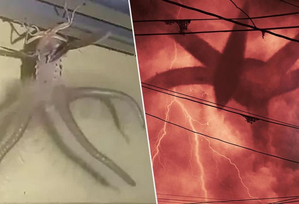 Uomo trova uno strano insetto che sembra uscito da Stranger Things!