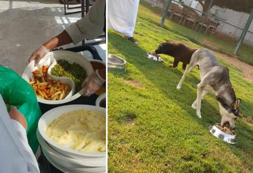 Un ristorante di lusso negli Emirati dà gli avanzi di cibo ai cani randagi