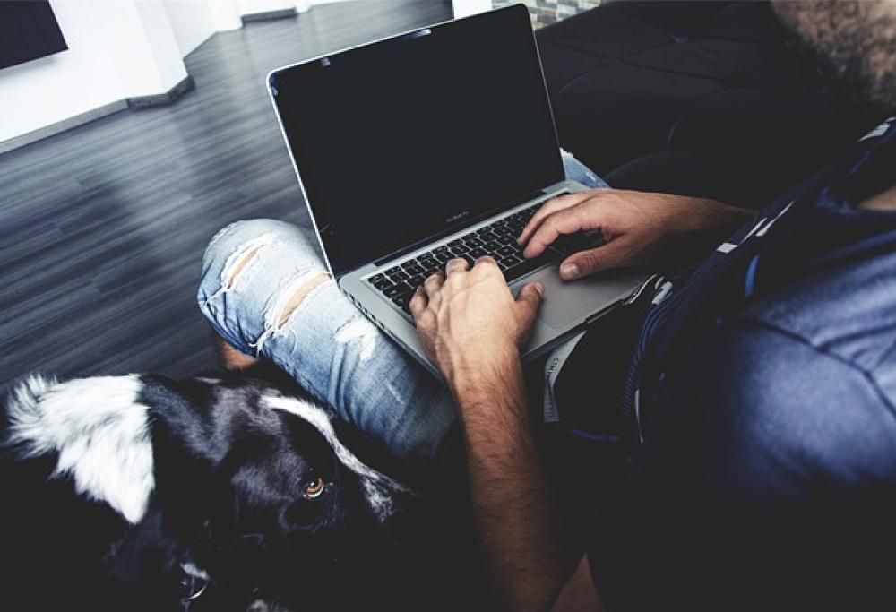 Mi porto il peloso in ufficio, perché no?