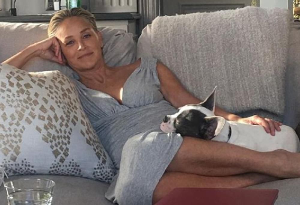 Sharon Stone: “Dopo l’ictus, sono stata dimenticata come Lady Diana”