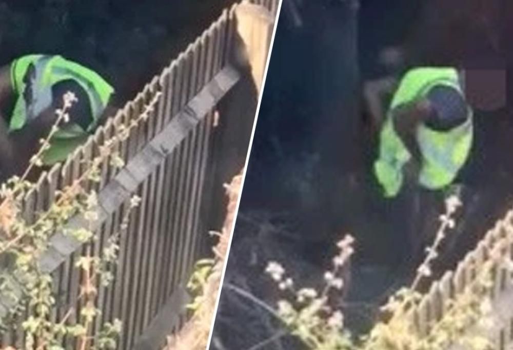 Il cliente trova il corriere defecare nel suo giardino, Amazon si scusa!