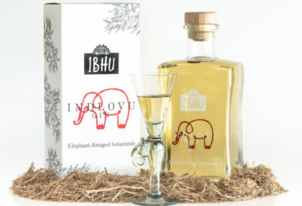 Dal Sudafrica arriva il Gin aromatizzato… allo sterco di elefante