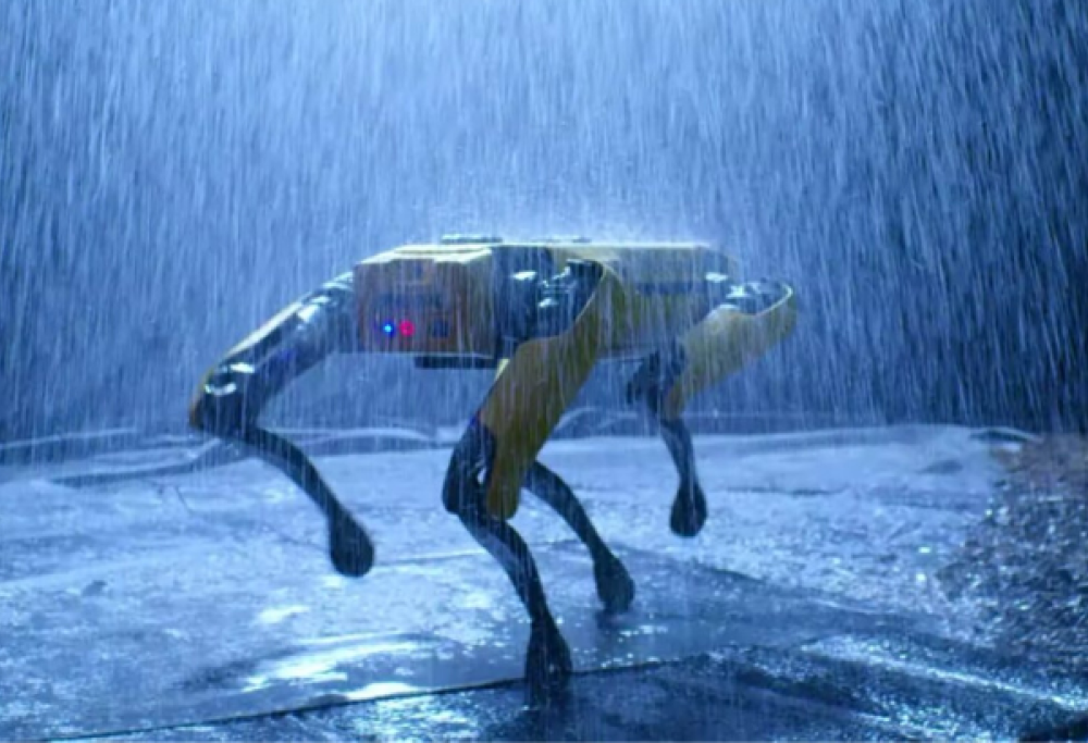 La polizia americana utilizza cani robot in segreto?