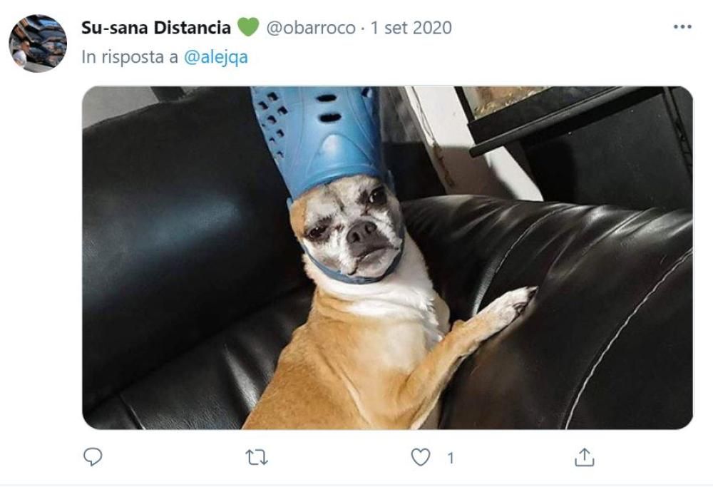 5 papi che non sapevate fossero esistiti