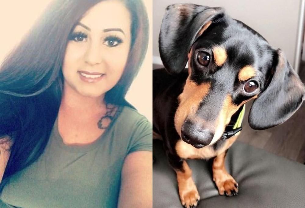 Veterinario sopprime il cane sbagliato, dopo aver chiamato il padrone di un altro