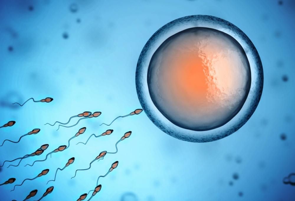 L’infertilità maschile inspiegabile ora ha una causa: la ricerca