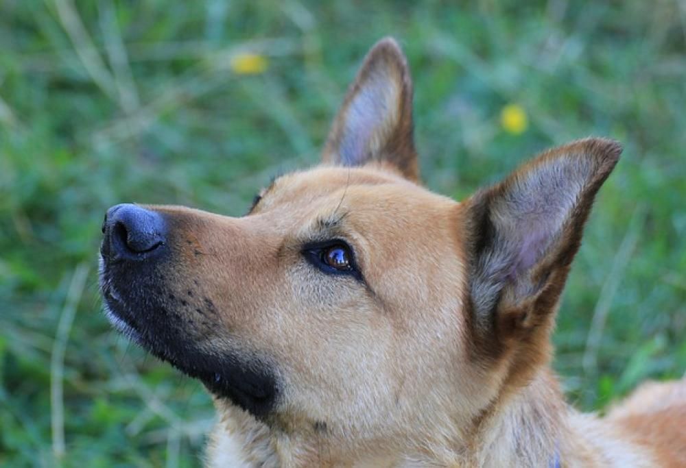 Una vita a colori o in bianco e nero?