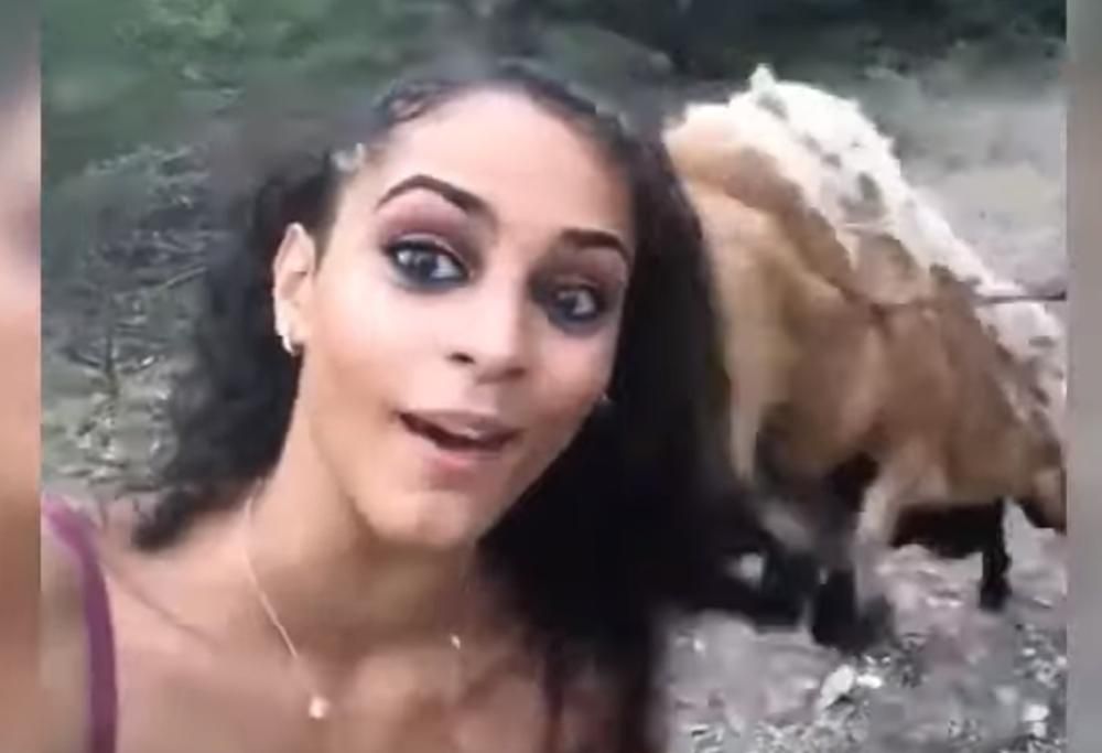 Cerca di farsi un selfie con una capra, lei non ci sta e le tira una testata!