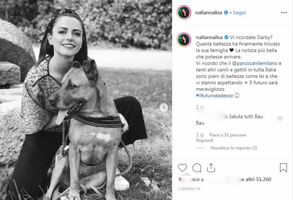 Annalisa: Darby, il cane protagonista di Avocado Toast, è stato adottato